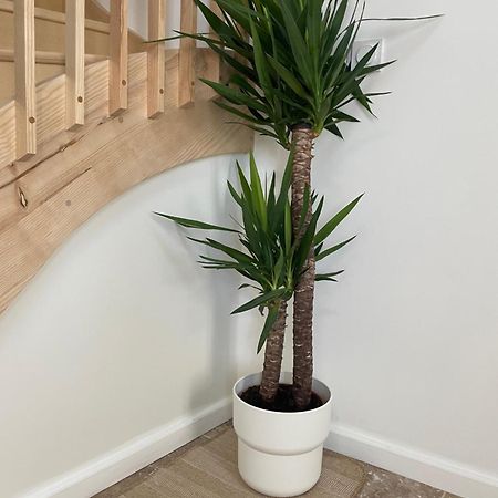 L Appartement Sete Magnifique Duplex Climatise Exterior foto